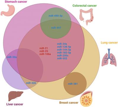 Contribution of MicroRNAs in Chemoresistance to Cisplatin in the Top Five Deadliest Cancer: An Updated Review